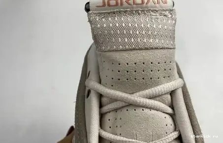 AIR DC9857-200 14 Low Jordan Terra Retro DC9857-200 Blush Clot 0616